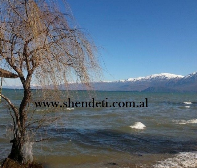 Pogradec 2