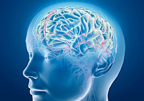 Shtohen Goditjet Në Tru Te Mosha E Mesme Gazeta Shëndeti