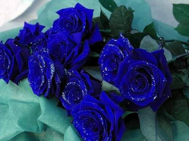 blu