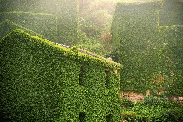 Kina zhoushan3