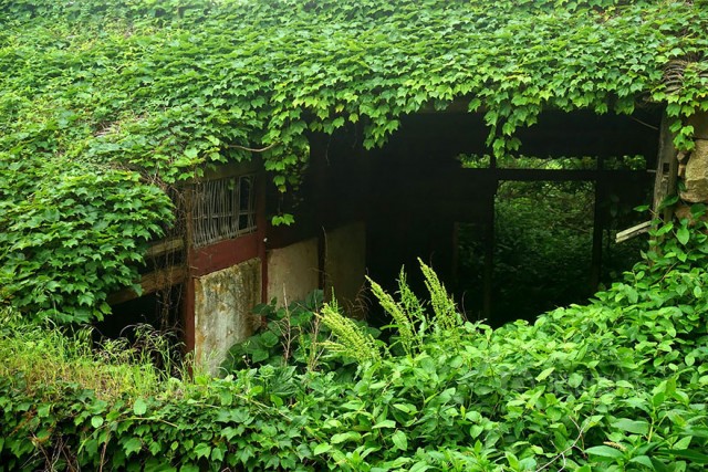 Kina zhoushan4