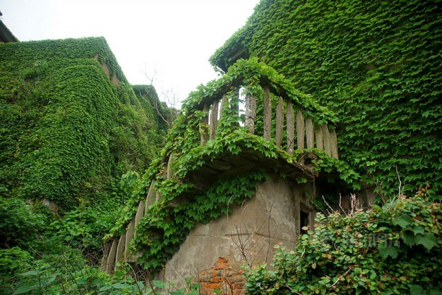 Kina zhoushan7