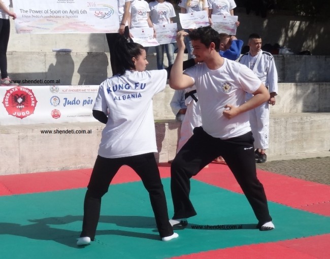 Kung Fu Albania (3)